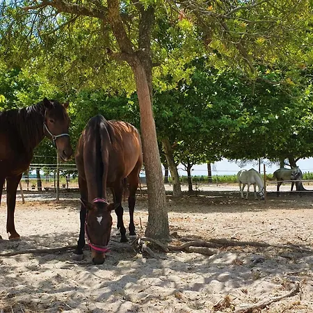 Quinta Cavaluz * Poceirao