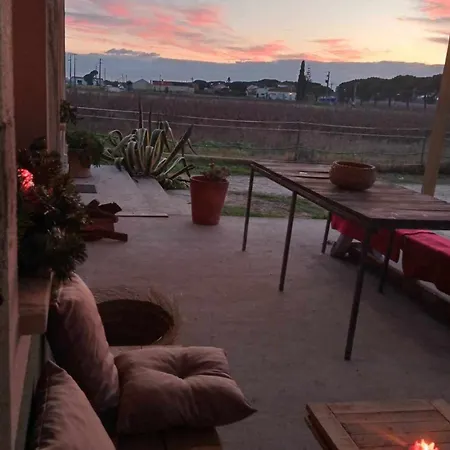 Quinta Cavaluz Tatil Evi