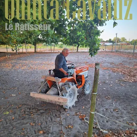 Quinta Cavaluz * Poceirao